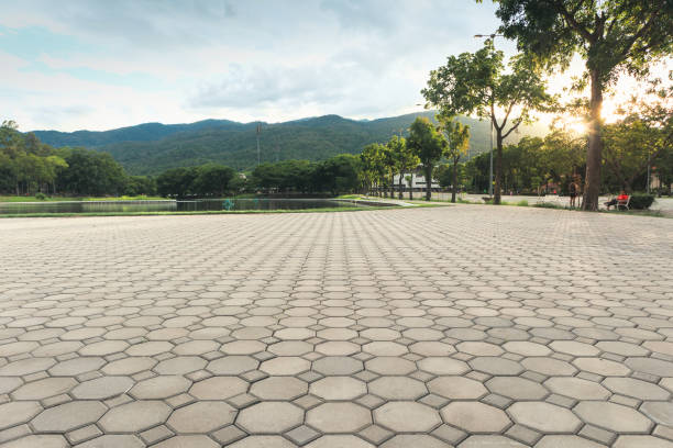Best Driveway Repair Near Me  in Chapin, SC
